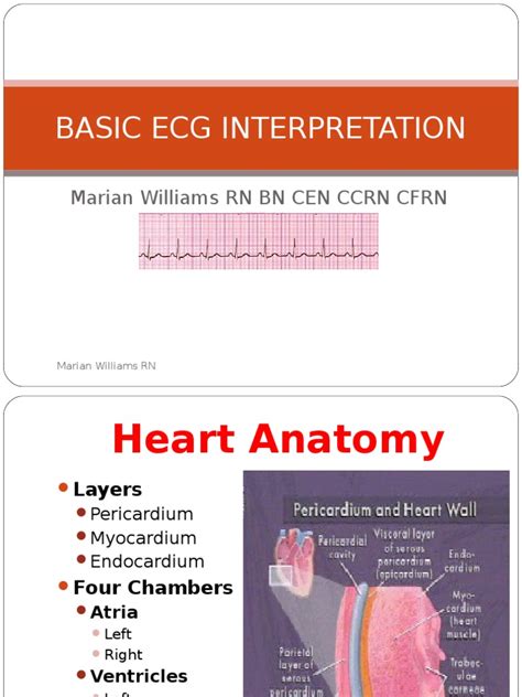prwp ecg|basic ecg interpretation powerpoint.